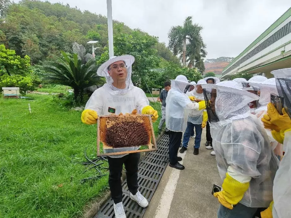 4c50453733929162_html_82c398f5058cfc8f