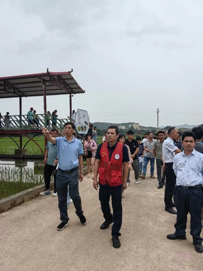 4c50453733929162_html_9dd301e6fb917853